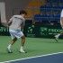 Draganja, Davis Cup