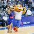 Hrki i Vuk, Cibona