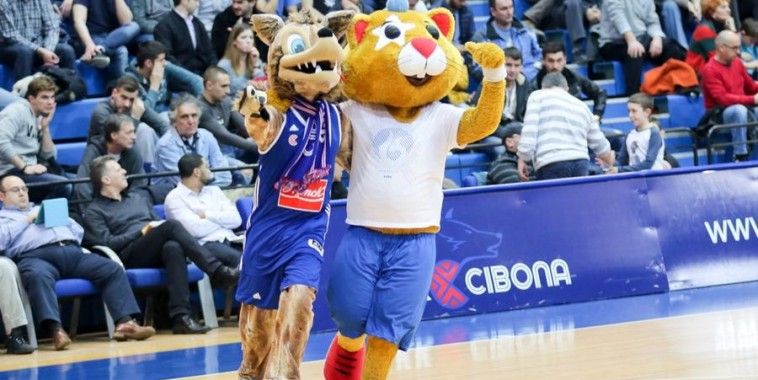 Hrki i Vuk, Cibona