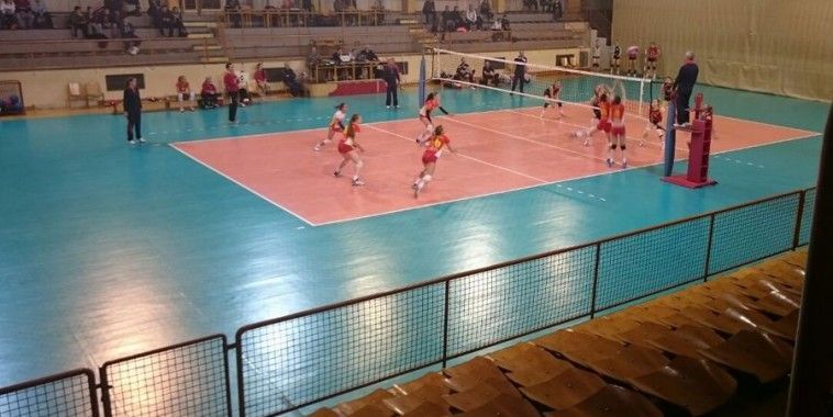 Bojan Stranić, odbojka, Mladost