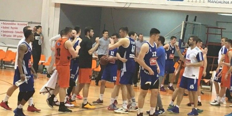 Žižić, KK Cibona