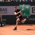 Karlović, Roland Garros Twitter