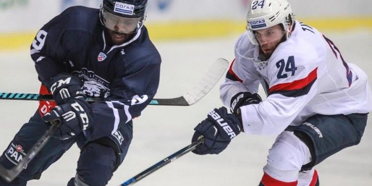 Medveščak - Slovan, Hedberg, Foto MDV Press, Igor Šoban