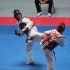 Petra Matijašević, taekwondo