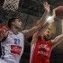 Slavica, Babić, Cibona - Cedevita
