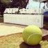 ATP Umag, Goran Ivanišević