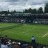 Čilić, Wimbledon, Instagram