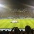 Maksimir