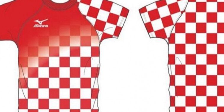 Ivo Karlović, Mizuno