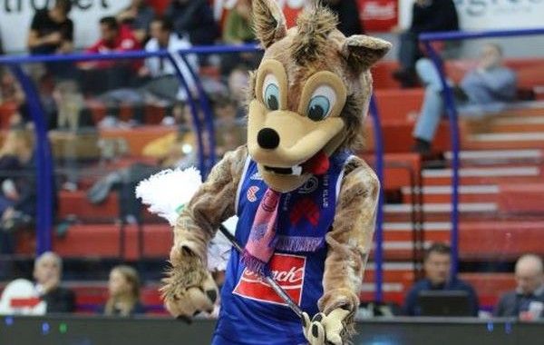 Vuk, Foto ABA, Željko Baksaj i Gordan Laušić