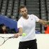 Karlović, Davis Cup