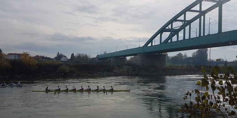 Sava, osmerac, Foto Manuela Sinković