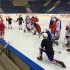 Inline, Hrvatski savez hokeja na ledu