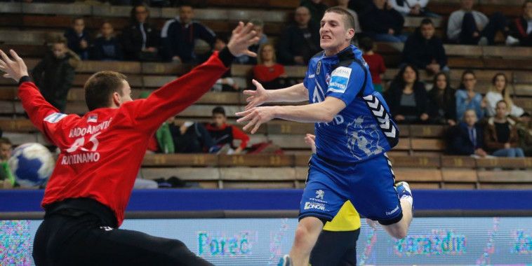 Božić Pavletić, SEHA Gazprom