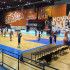 Cedevita, Dom sportova