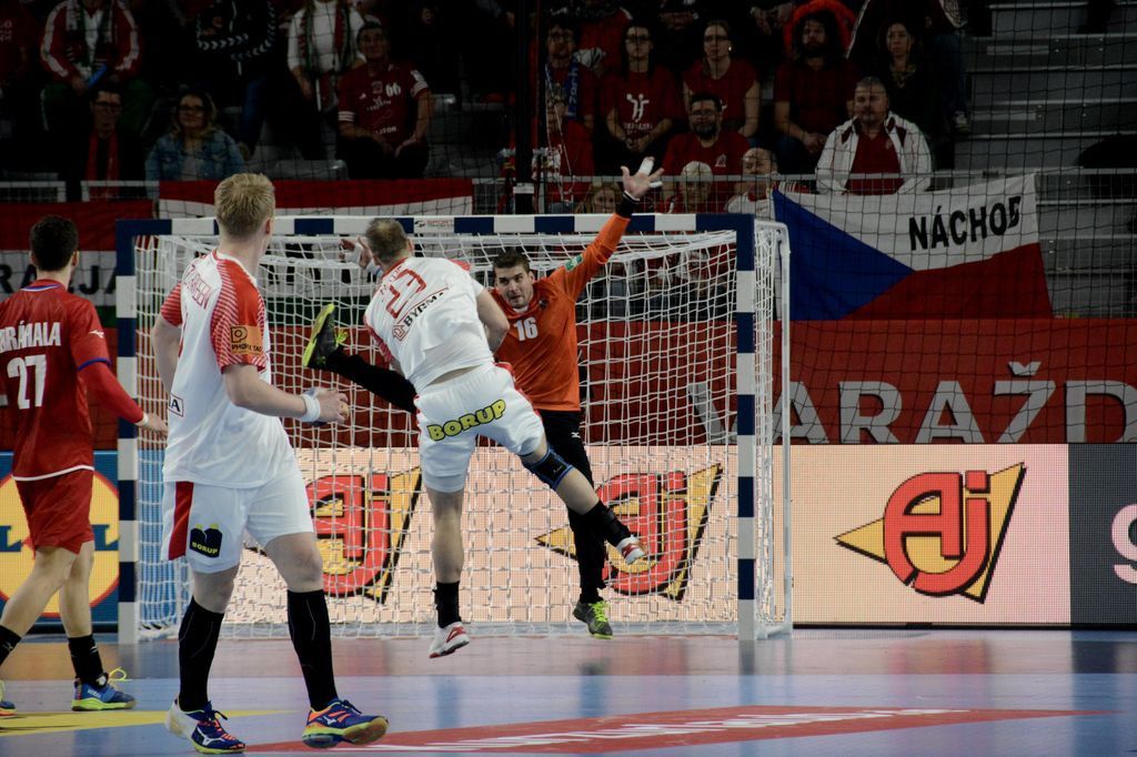 ČEŠ - DAN, Foto Željka Švenda