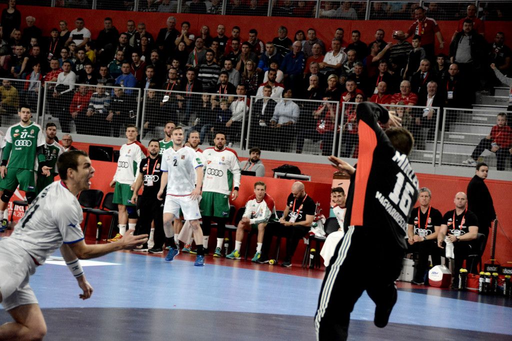 ČEŠ - MAĐ, Foto Željka Švenda