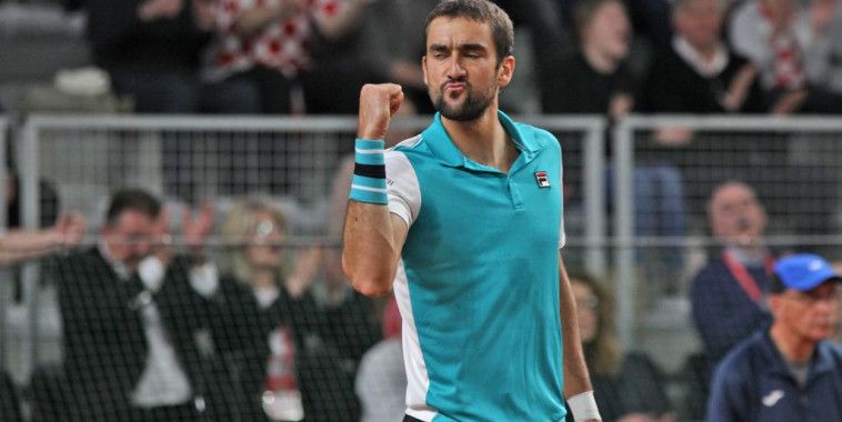 Marin Čilić, HTS Mario Ćužić