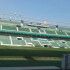 Elche
