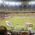 Steaua