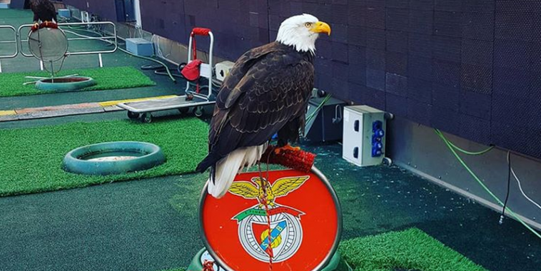 Benfica