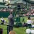 Marin Čilić, Wimbledon