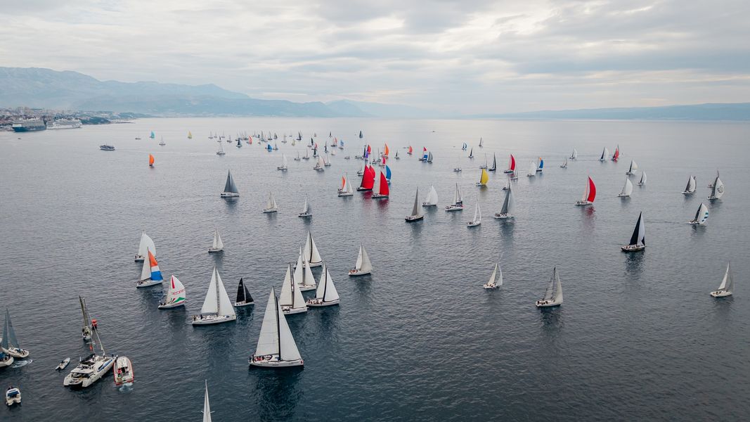 81. Viška regata (2)